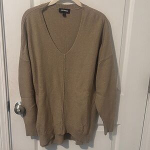 Express V-Neck Sweater in Tan